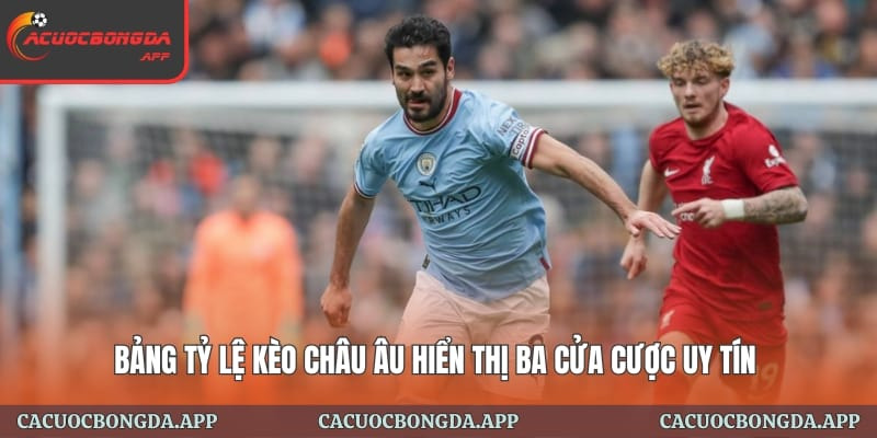 C&aacute;ch &Aacute;p Dụng K&egrave;o Ch&acirc;u &Acirc;u Tại Trang C&aacute; Cược B&oacute;ng Đ&aacute; Hiệu Quả - Ảnh 2