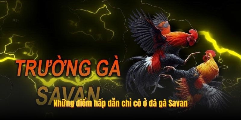 Đ&aacute; G&agrave; Savan C&oacute; G&igrave; Hấp Dẫn? C&aacute;ch Tham Gia Tại Typhu88 - Ảnh 1