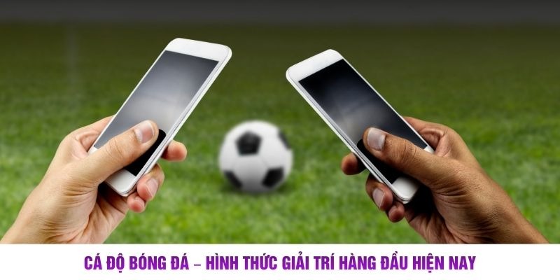 Cá Độ Bóng Đá – Hình Thức Giải Trí Hàng Đầu Hiện Nay