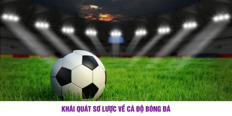 C&aacute; Độ B&oacute;ng Đ&aacute; &ndash; H&igrave;nh Thức Giải Tr&iacute; H&agrave;ng Đầu Hiện Nay - Ảnh 2