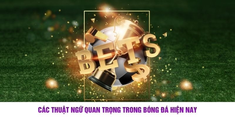 C&aacute; Độ B&oacute;ng Đ&aacute; &ndash; H&igrave;nh Thức Giải Tr&iacute; H&agrave;ng Đầu Hiện Nay - Ảnh 3