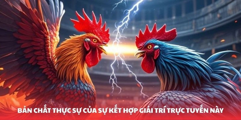 Mẹo Đ&aacute; G&agrave; X&oacute;c Đĩa - Chiến Thuật Chinh Phục Mọi K&egrave;o Cực Hay - Ảnh 2