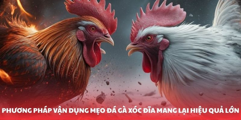 Mẹo Đ&aacute; G&agrave; X&oacute;c Đĩa - Chiến Thuật Chinh Phục Mọi K&egrave;o Cực Hay - Ảnh 3