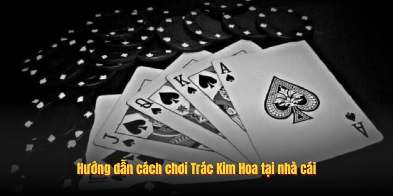 Tr&aacute;c Kim Hoa L&agrave; G&igrave;? Hướng Dẫn Chơi Chi Tiết Tại 789club - Ảnh 2