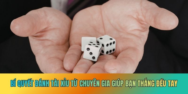 Bí Quyết Đánh Tài Xỉu – Top 4 Chiến Thuật Thắng Đều - Ảnh 2