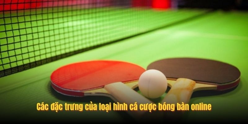 C&aacute; Cược B&oacute;ng B&agrave;n Online 8day: Soi K&egrave;o Kịch T&iacute;nh Từng Gi&acirc;y - Ảnh 1