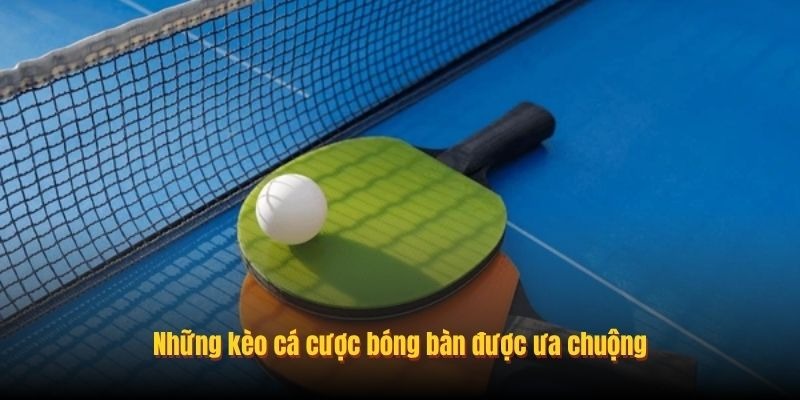 C&aacute; Cược B&oacute;ng B&agrave;n Online 8day: Soi K&egrave;o Kịch T&iacute;nh Từng Gi&acirc;y - Ảnh 2