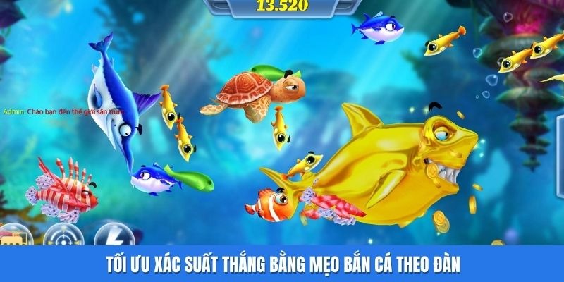 Mẹo Bắn C&aacute; Theo Đ&agrave;n - Chiến Thuật Tối Ưu Lợi Nhuận Từ Cao Thủ - Ảnh 1