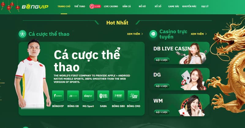 Tìm hiểu về bongvip - Nhà cái cá cược hot nhất 2024 - Ảnh 1