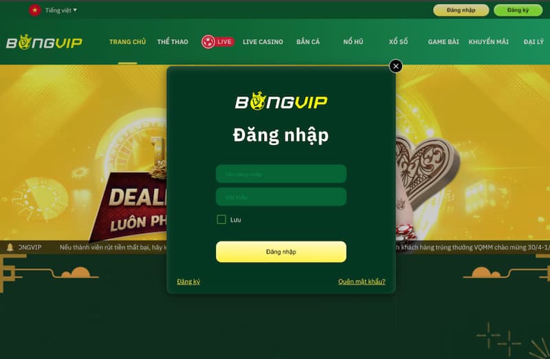 Tìm hiểu về bongvip - Nhà cái cá cược hot nhất 2024 - Ảnh 2