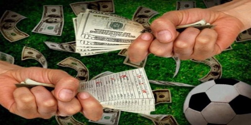 Vì sao bạn nên đăng ký VF555 để tham gia cá cược online? - Ảnh 2