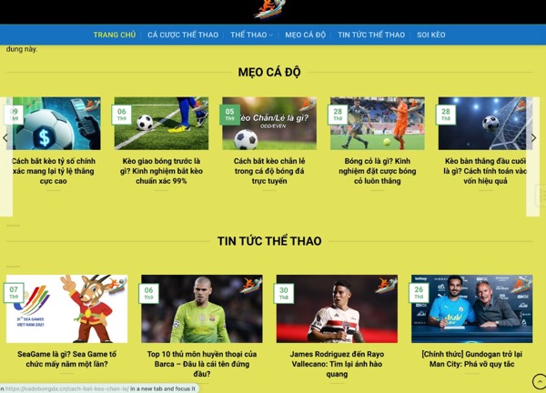 Trang cá cược bóng đá - Cập nhật tỷ lệ kèo nhà cái siêu chuẩn - Ảnh 3