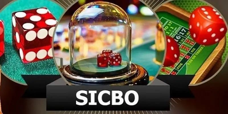 Bí kíp chơi Sicbo tại 8xbet đánh đâu thắng đó từ cao thủ - Ảnh 2