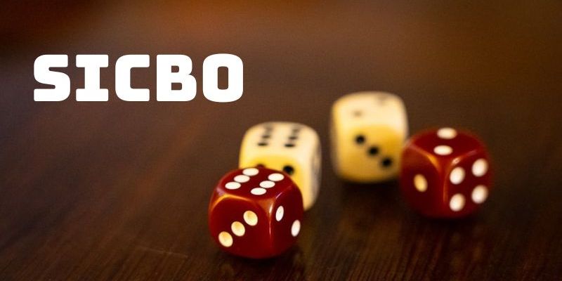 Bí kíp chơi Sicbo tại 8xbet đánh đâu thắng đó từ cao thủ - Ảnh 4