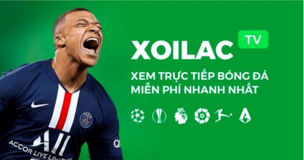 Các dịch vụ chính kênh bóng đá trực tuyến Xôi Lạc cung cấp - Ảnh 2