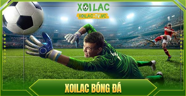 So sánh Xoilac TV với các kênh xem bóng đá trực tiếp hiện nay - Ảnh 2