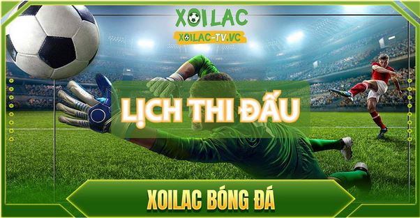 Tính năng và mục đích phát triển của Xoilac - kênh xem bd 24/25 - Ảnh 2