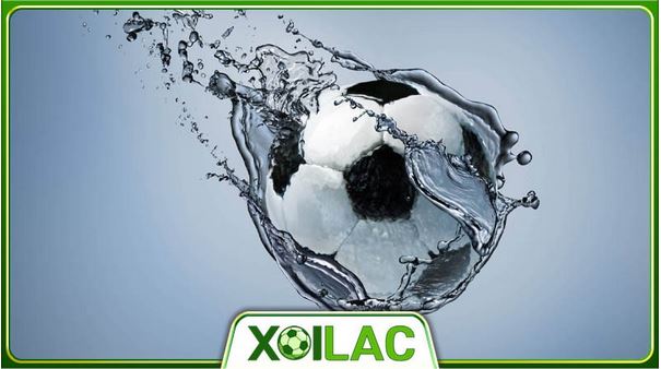 Tổng quan và hướng dẫn đăng ký xem bóng đá miễn phí trên Xoilac TV - Ảnh 3