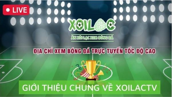 Xoilac TV - sosmap.net: Nâng tầm trải nghiệm xem bóng đá của bạn - Ảnh 1