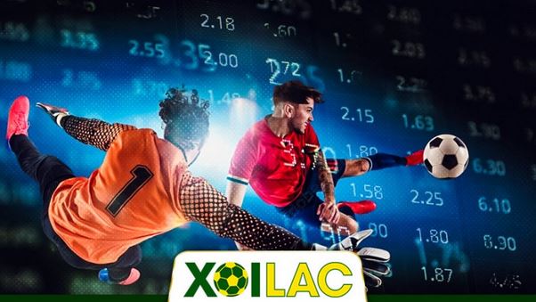 Xoilac TV - sosmap.net: Nâng tầm trải nghiệm xem bóng đá của bạn - Ảnh 3