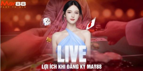 Điều khoản và điều kiện khi đăng ký MAY88 - Ảnh 2