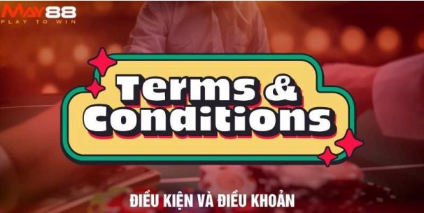 Điều khoản và điều kiện khi đăng ký MAY88 - Ảnh 3