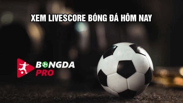 Bongdaso - Chuyên trang cập nhật kết quả trực tuyến miễn phí - Ảnh 2