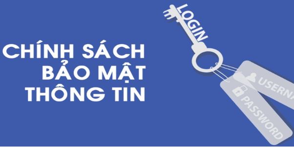 Khám Phá Trang Cá Độ Bóng Đá: Đâu Là Lựa Chọn Tốt Nhất? - Ảnh 2