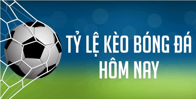 Chokeo.me – Giới thiệu và kinh nghiệm chơi tỷ lệ kèo nhà cái - Ảnh 3