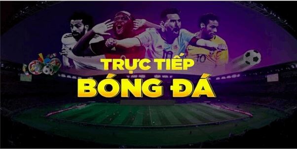 Saoke - Hệ Thống Cung Cấp Bóng Đá Trực Tiếp Đẳng Cấp Quốc Tế - Ảnh 3