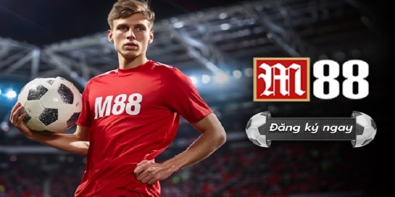 Top Các Trang Cá Cược Bóng Đá Chất Lượng Tại Châu Á - Ảnh 1