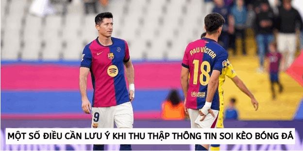 Một số điều cần lưu ý khi thu thập thông tin soi kèo bóng đá - Ảnh 1