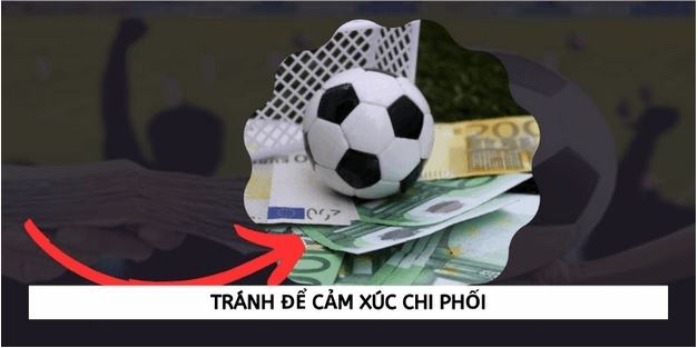Một số điều cần lưu ý khi thu thập thông tin soi kèo bóng đá - Ảnh 3