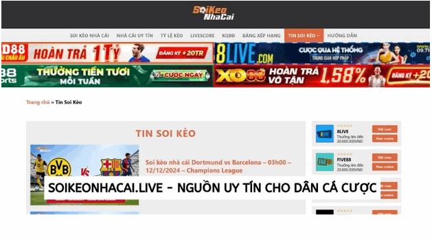 Một số điều cần lưu ý khi thu thập thông tin soi kèo bóng đá - Ảnh 4