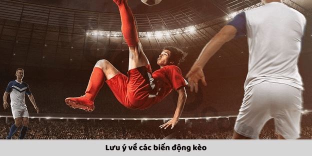 Tỷ Lệ Kèo Bóng Đá: Hướng Dẫn Chi Tiết Chọn Cược Thông Minh - Ảnh 3