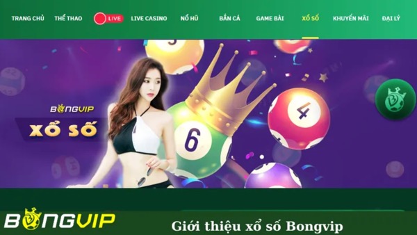 Bongvip - Nhà cái Bong Vip - Link vào mới nhất không bị chặn - Ảnh 1