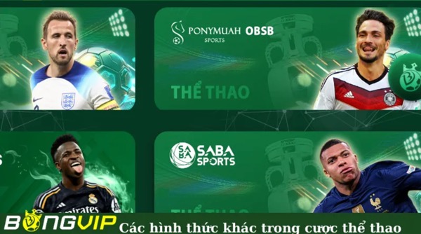 Bongvip - Nhà cái Bong Vip - Link vào mới nhất không bị chặn - Ảnh 2