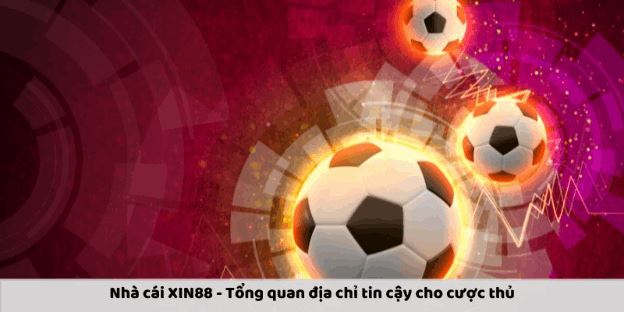 Nhà Cái XIN88 - Điểm Đến Lý Tưởng Cho Các Cược Thủ - Ảnh 1