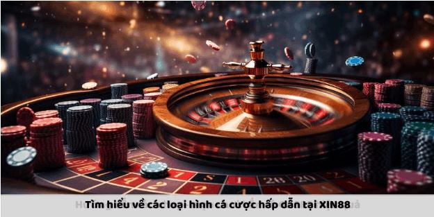 Nhà Cái XIN88 - Điểm Đến Lý Tưởng Cho Các Cược Thủ - Ảnh 3