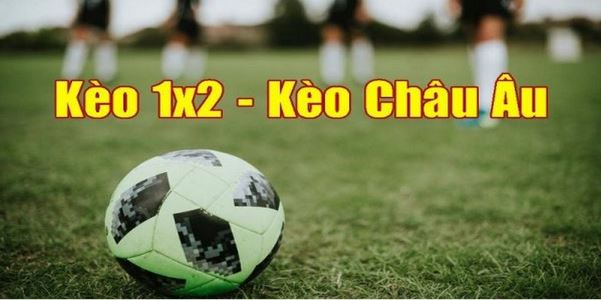 Thể Thao 8XBET - Điểm Hẹn Đặc Biệt Cho Người Yêu Thể Thao - Ảnh 3