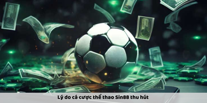 Về Cá Cược Thể Thao Tại Sin88 - Hướng Dẫn Và Kinh Nghiệm - Ảnh 2