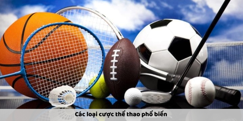 Về Cá Cược Thể Thao Tại Sin88 - Hướng Dẫn Và Kinh Nghiệm - Ảnh 3