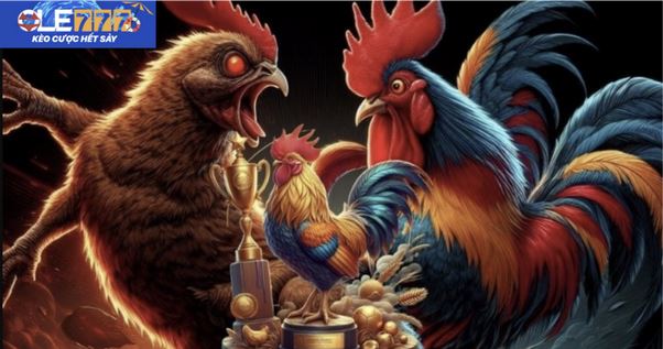 Mẹo Chơi Game Đá Gà Online Giúp Tăng Cơ Hội Chiến Thắng - Ảnh 4