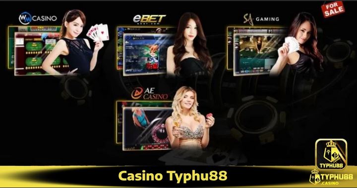 Casino Typhu88 – Trải nghiệm sòng bạc đỉnh cao - Ảnh 1