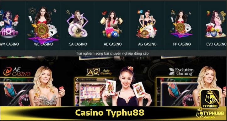 Casino Typhu88 – Trải nghiệm sòng bạc đỉnh cao - Ảnh 2