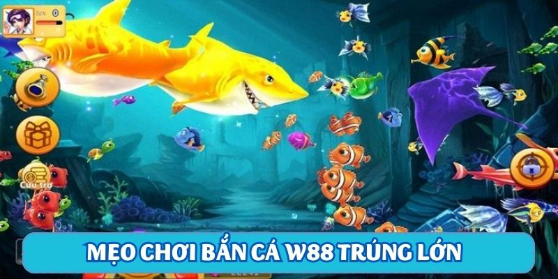 Cách chơi bắn cá W88 trúng lớn với mẹo từ cao thủ - Ảnh 2