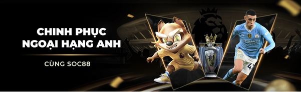 Cách Chọn Cấp Độ VIP Tại Soc88 Phù Hợp Với Bạn - Ảnh 1
