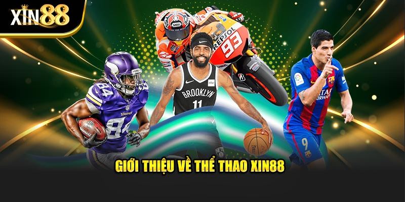 Chơi Thể Thao Cùng Xin88: Kết Nối Đam Mê, Vượt Qua Thử Thách - Ảnh 1
