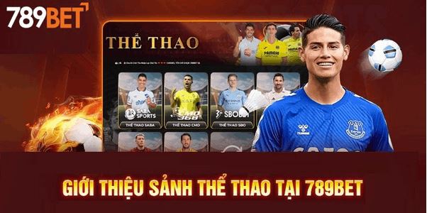 Thể Thao 789bet – Sảnh Giải Trí Đỉnh Cao, An Toàn Bậc Nhất - Ảnh 1