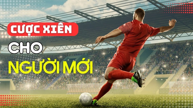 Kinh nghiệm chơi cược xiên là rất quan trọng